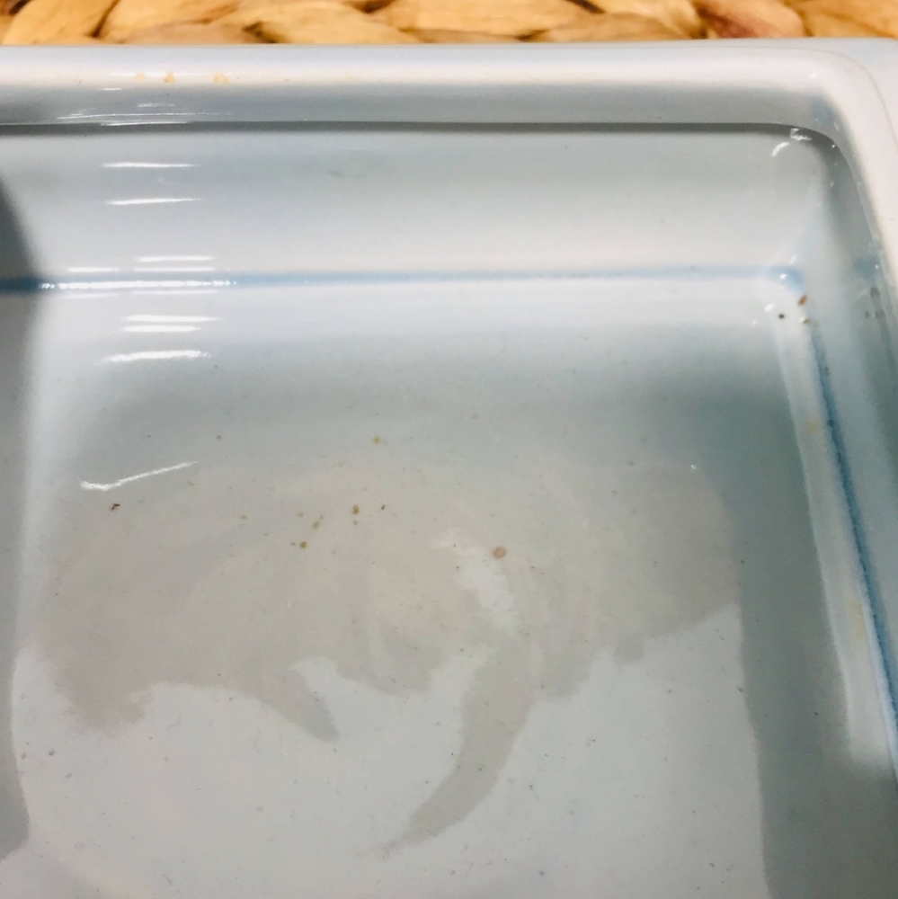 Rare, porcelain box.  Excellent condition.  Check - Picture 11 of 12